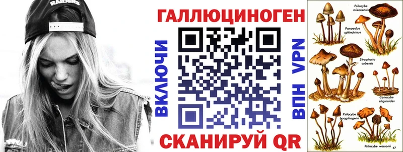 Псилоцибиновые грибы Cubensis блэк спрут как войти Боровичи где найти